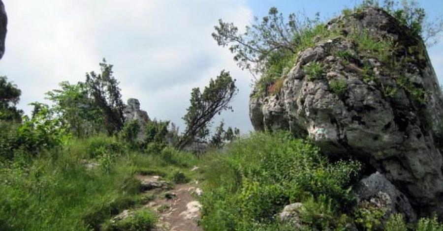 Jura - Kroczyce (Góra Zborów ,Jaskinia Głęboka) - zdjęcie