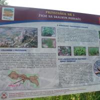 Rezerwat Wietrznia w Kielcach, mokunka