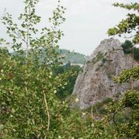, mokunka