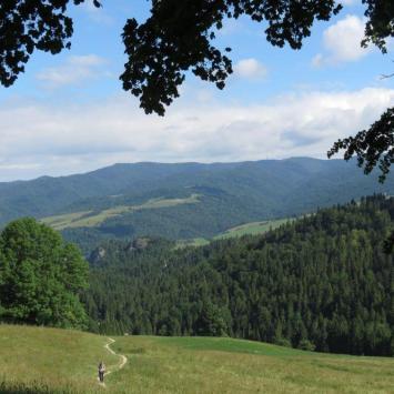 Widoki na szlaku na Wysoką, Tadeusz Walkowicz