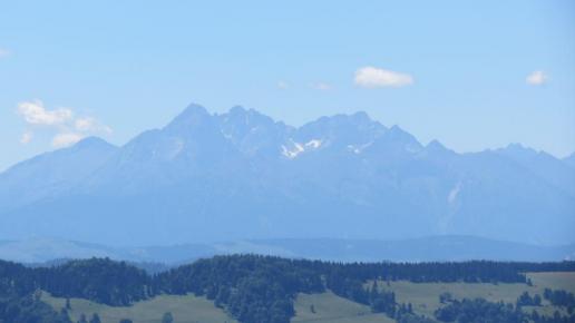 Widok na Tatry, Tadeusz Walkowicz