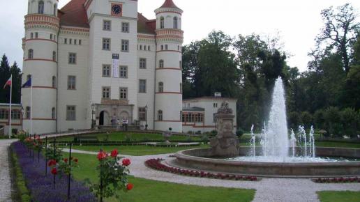 Wojanów, Krzysztof Dorota