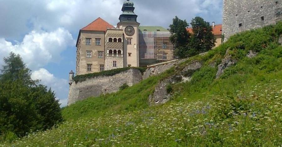 Pieskowa Skała- zamek - zdjęcie