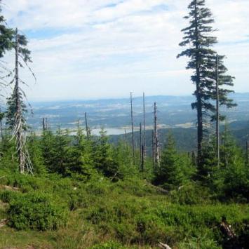 widok na zbiornik