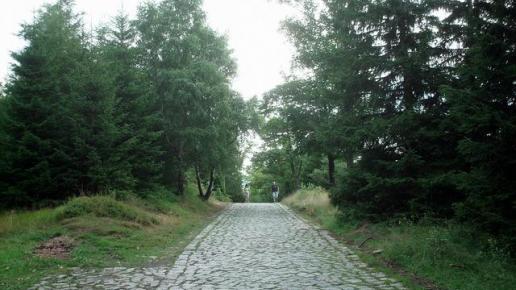 droga prowadząca w kierunku Polany Karkonoskiej, Roman Świątkowski