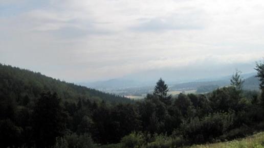 widok na Dolinę Dzikiego Potoku, Roman Świątkowski