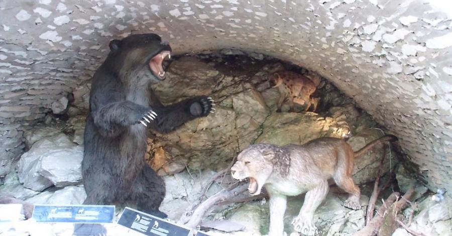 Kletno – w Jaskini Niedźwiedziej - zdjęcie