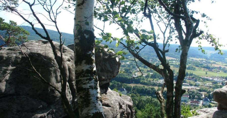 Góry Stołowe – na Szczytniku - zdjęcie