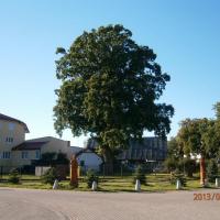 , Danusia