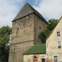 wieża rycerska w Siedlęcinie , Danuta
