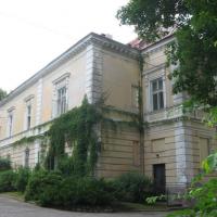 Pałac Raczyńskich- widok z drugiej strony, Danuta
