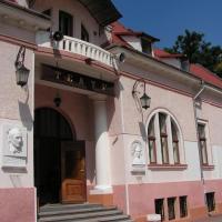 Kołomyja - Muzeum Huculszczyzny i Pokucia, Henryka Darnia