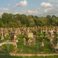 Kosów cmentarz, Henryka Darnia