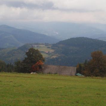 , Tadeusz Walkowicz