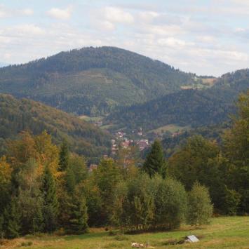 W oddali Szczyrk, Tadeusz Walkowicz
