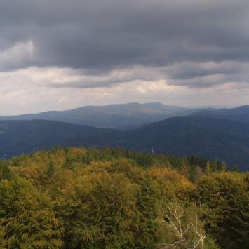 Widok z wieży, Tadeusz Walkowicz