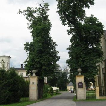 wejście na teren parku pałacowego, Danuta