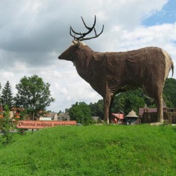 Pławna- górujący nad okolicą, Wielki Jeleń, Danuta