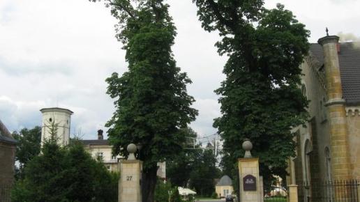 wejście na teren parku pałacowego, Danuta