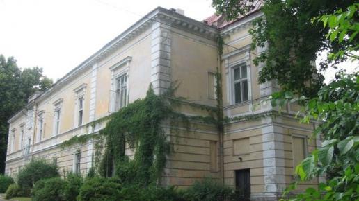 Pałac Raczyńskich- widok z drugiej strony, Danuta