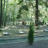 Cmentarz radziecki w Bornem Sulinowie, Danusia