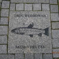 , Danusia