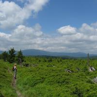 widok na Śnieżnik, paweł rosiński