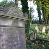 Stary cmentarz żydowski cieszyn