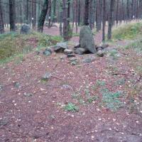 Kamienne Kręgi w Węsiorach, Danusia