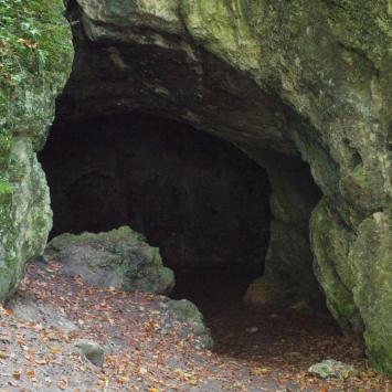 Jaskinia Niedzwiedzia, Tadeusz Walkowicz