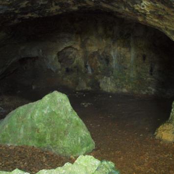 Jaskinia Niedzwiedzia, Tadeusz Walkowicz