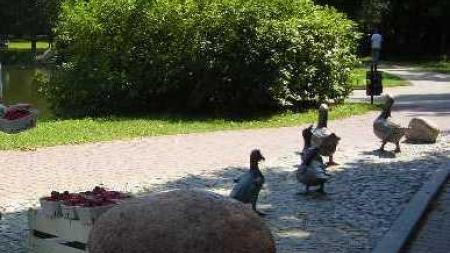 Pomnik kaczek w Nałęczowie - zdjęcie