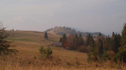 Na szlaku, Tadeusz Walkowicz