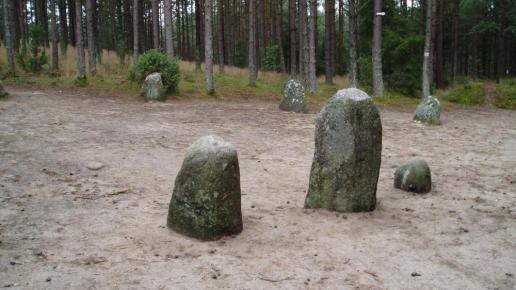 Kamienne Kręgi w Węsiorach, Danusia