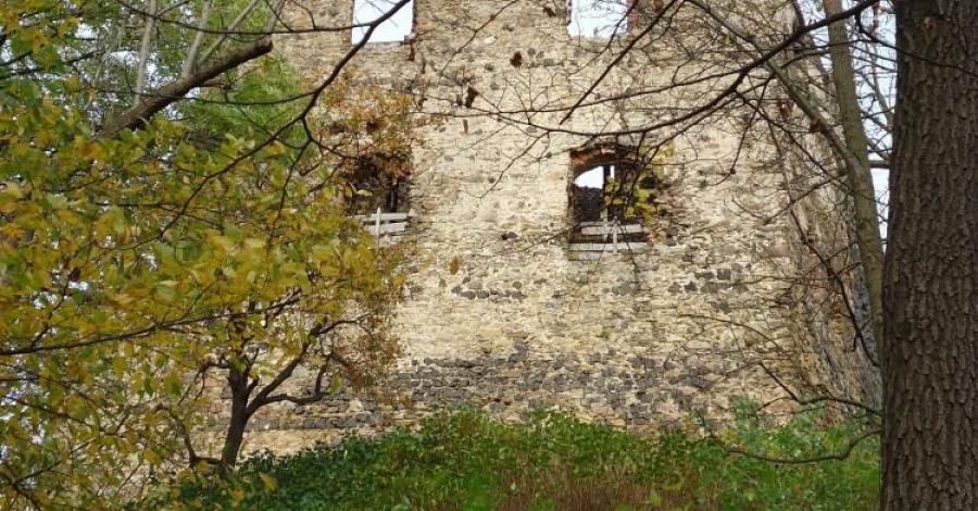 Zamki i pałace ziemi Lwóweckiej- Zamek Gryf - zdjęcie