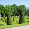 ogrody w Peterhof, Danusia