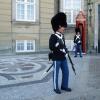 strażnik przy pałacu Amalienborg w Kopenhadze, Danusia