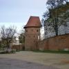 mury obronne w Braniewie, Danusia