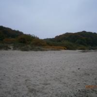 plaża i roślinność nadmorska, Danusia