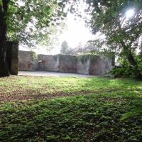 Stary park, Ela