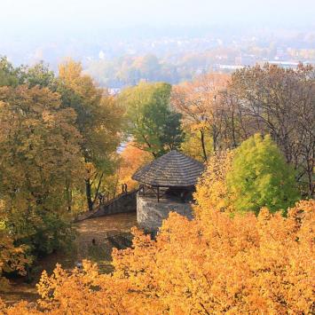 Widok z wieży