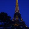 wieża Eiffela w nocy, Danusia