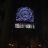 wiraże w katedrze Notre Dame, Danusia