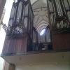 organy w kościele św. Jakuba, Danusia