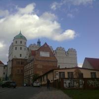 Zamek Książąt Pomorskich, Danusia