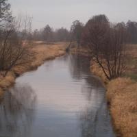 Rzeka Warta- w Słowiku, Tadeusz Walkowicz