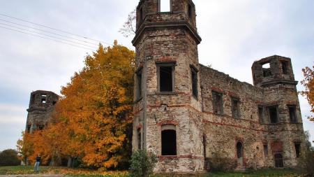 Zamek w Podzamczu Piekoszowskim - zdjęcie