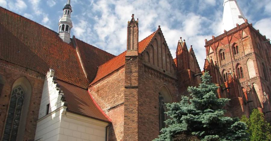 Kościół farny w Chełmnie - zdjęcie