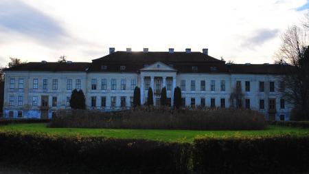 Pałac w Drogoszach - zdjęcie