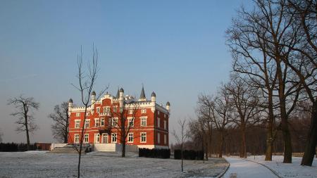 Pałac w Szałszy - zdjęcie